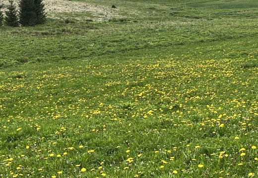 23-05-21 17-17-47 5540